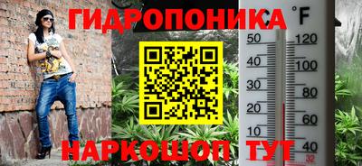 apvp Кандалакша