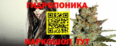 шишки Канаш