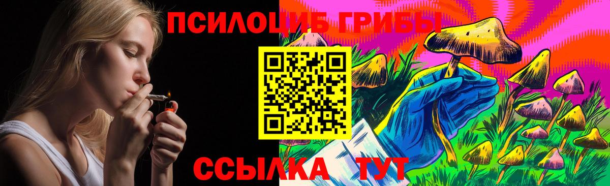 Псилоцибиновые грибы прущие грибы Туймазы